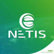 Netis Group